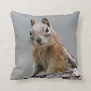 Ground Squirrel Cushion