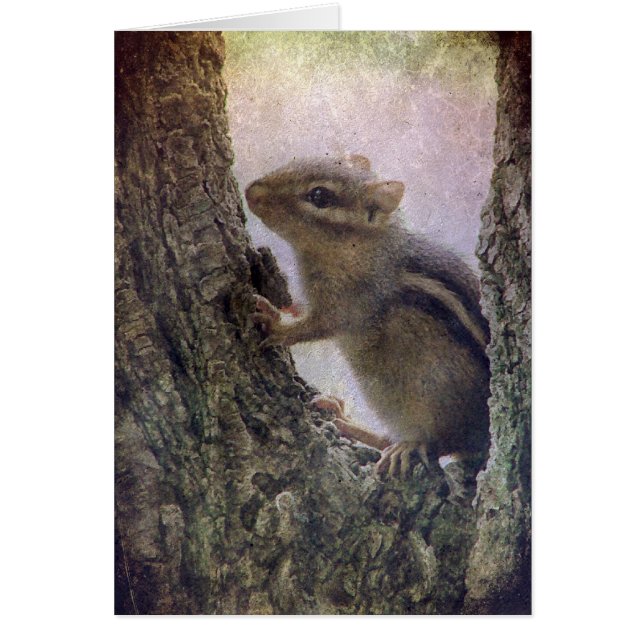 Ground Squirrel Grunge (Front)