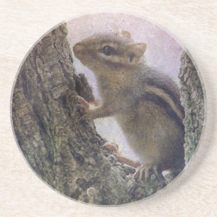 Ground Squirrel Grunge Coaster