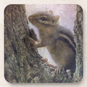 Ground Squirrel Grunge Coaster