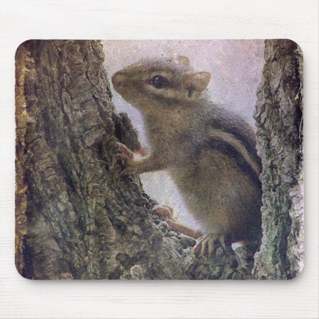Ground Squirrel Grunge Mouse Pad (Front)