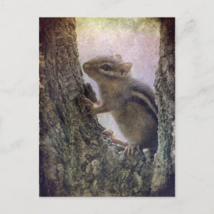 Ground Squirrel Grunge Postcard
