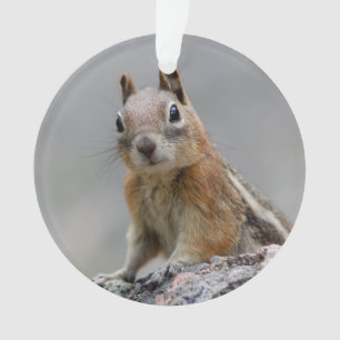 Ground Squirrel Ornament