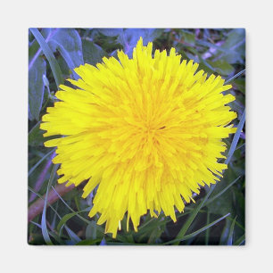 Grounded Sunshine Magnet