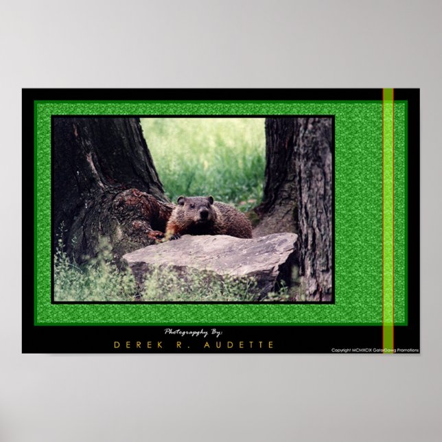 GroundHog 2 Poster (Front)