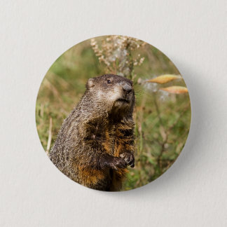 Groundhog 6 Cm Round Badge