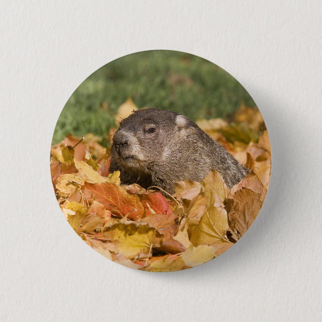 Groundhog 6 Cm Round Badge (Front)