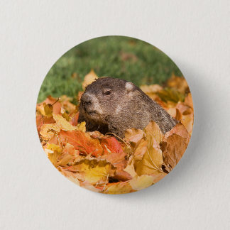 Groundhog 6 Cm Round Badge