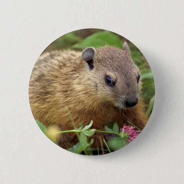 Groundhog 6 Cm Round Badge (Front)