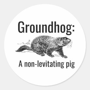 Groundhog A Non-levitating Pig Funny Pun Englieach Classic Round Sticker