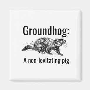 Groundhog A Non-levitating Pig Funny Pun Englieach Magnet