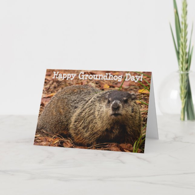 Groundhog  card (Front)