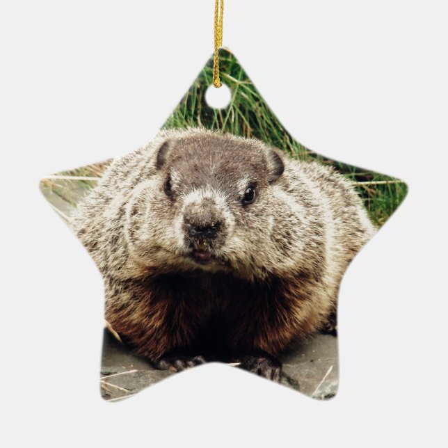 Groundhog Ceramic Tree Decoration (Front)