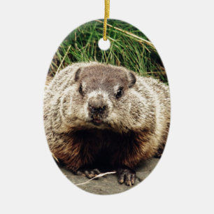 Groundhog Ceramic Tree Decoration