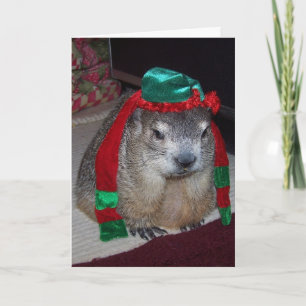 Groundhog Christmas Card