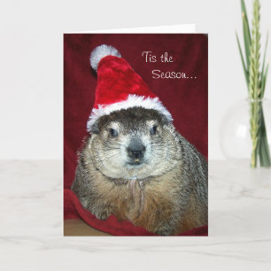 Groundhog Clara Holiday Greeting Card