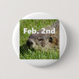 Groundhog close up 6 cm round badge