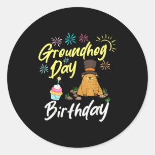 Groundhog Day Birthday Groundhog Funny Party Classic Round Sticker