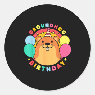 Groundhog Day Birthday Party Hat Balloons Retro 60 Classic Round Sticker