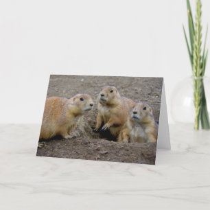 Groundhog Day Card