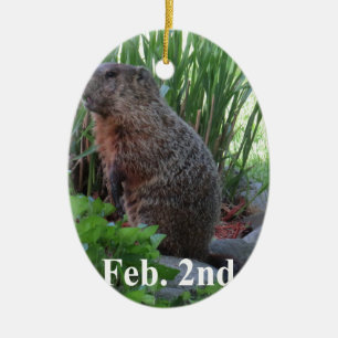 Groundhog Day Ceramic Tree Decoration