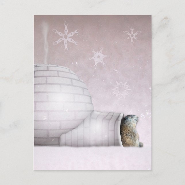 Groundhog Day - Chillin' at the igloo Postcard (Front)