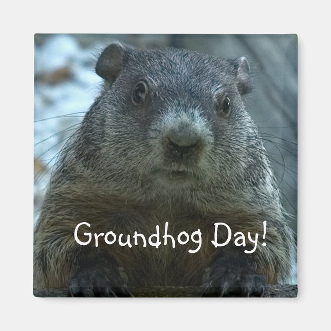 Groundhog Day!! Magnet (Front)