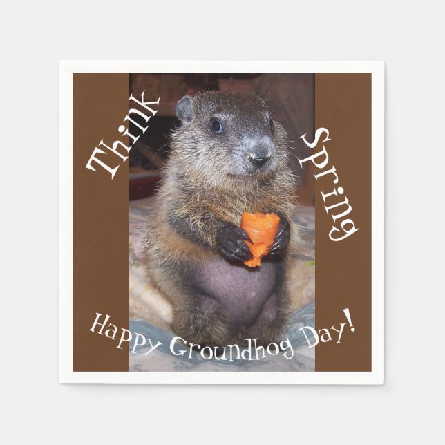Groundhog Day Paper Napkins (Front)