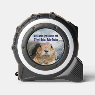 Groundhog Day Polar Vortex 1