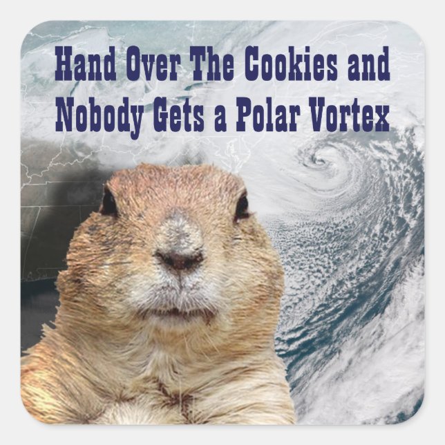 Groundhog Day Polar Vortex Square Sticker (Front)