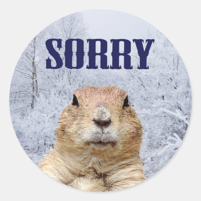 Groundhog Day Sorry Classic Round Sticker (Front)