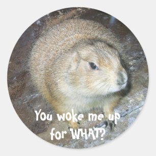 Groundhog Day Stickers