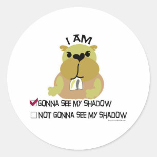 Groundhog day vote  shadow classic round sticker
