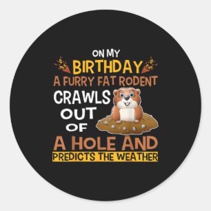Groundhog Day Woodchuck Gifts Costume For Kids Dec Classic Round Sticker