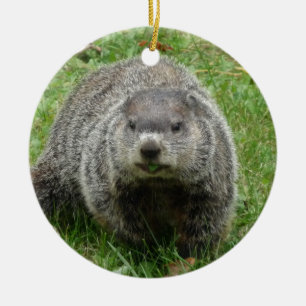 Groundhog eating ceramic ornament