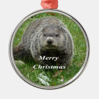 Groundhog eating metal tree decoration