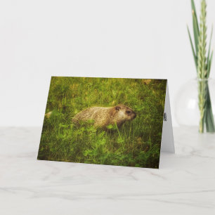 Groundhog greeting card