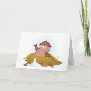 Groundhog Greeting Cards