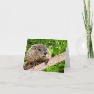 Groundhog Humour Birthday Cake Card