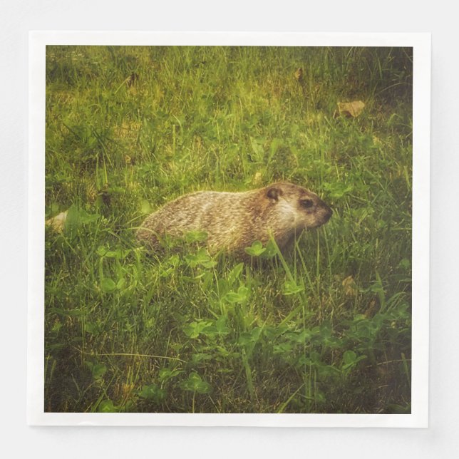 Groundhog in a field napkins (Front)