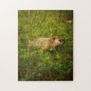 Groundhog in a field puzzle