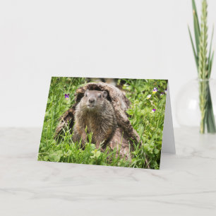Groundhog in a Hollow Log Card