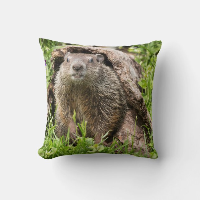 Groundhog in a Hollow Log Cushion (Front)