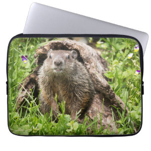 Groundhog in a Hollow Log Laptop Sleeve