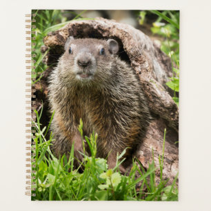 Groundhog in a Hollow Log Planner