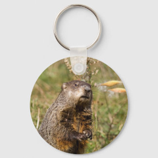 Groundhog Key Ring