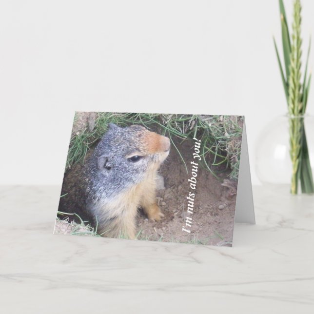 Groundhog Love Card (Front)
