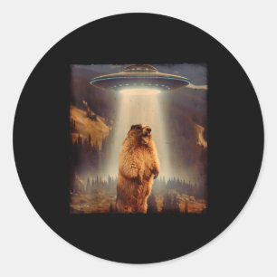 Groundhog Lover Groundhog Screaming Ufo Meme Funny Classic Round Sticker