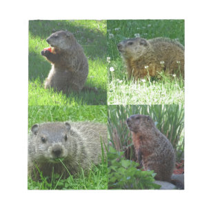 Groundhog Medley Notepad