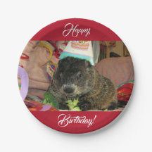 Groundhog Moses Birthday Paper Plates